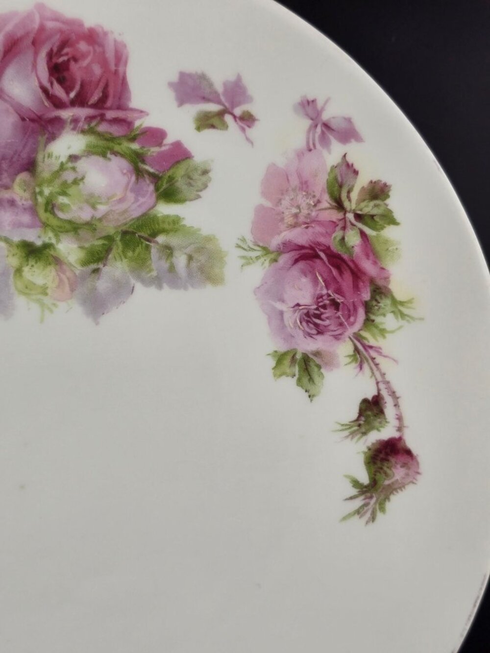 Vintage Silesia Poland Hand-Painted Floral Porcelain Plate 8.5" Pink Roses READ - Picture 3 of 10
